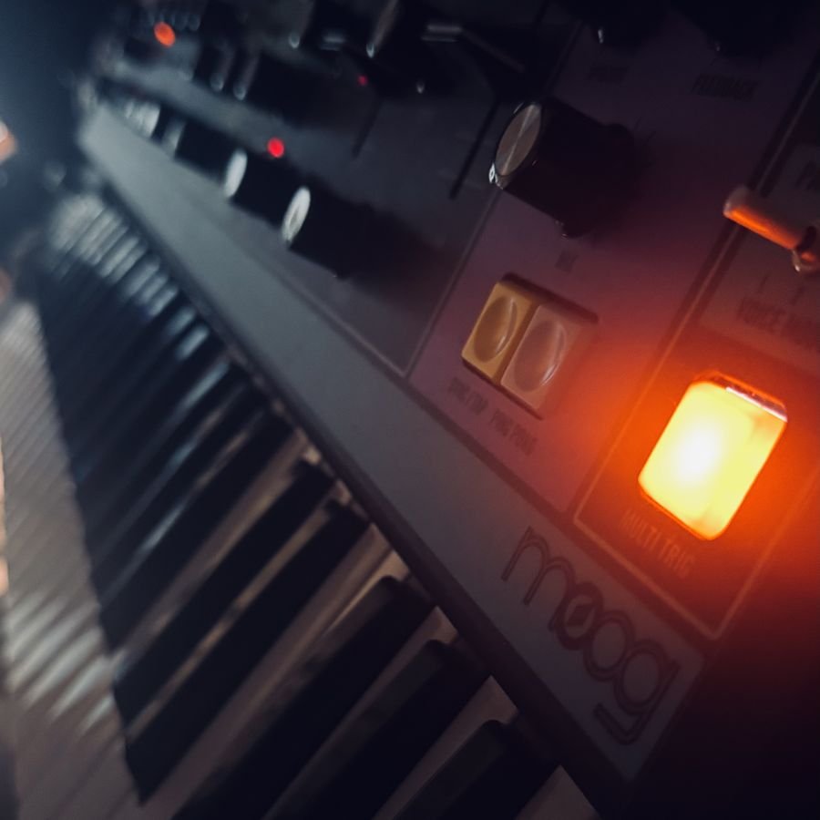 Moog w ciemnym studiu